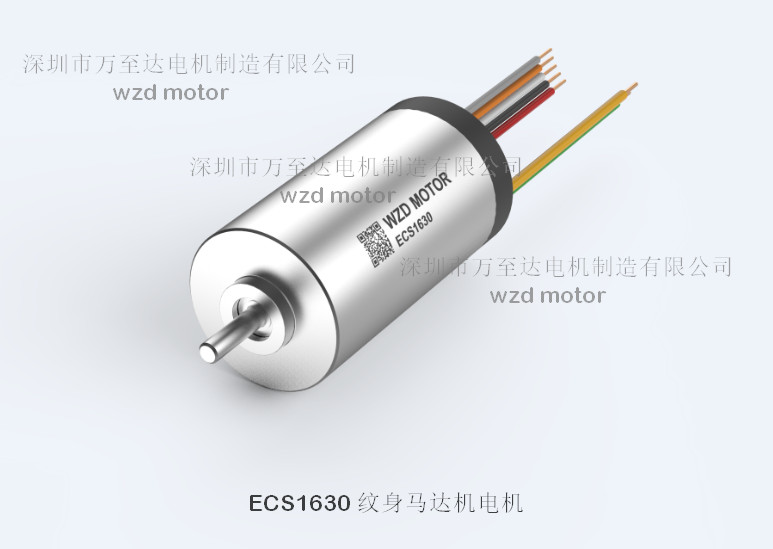 馬達(dá)紋身機(jī)電機(jī)